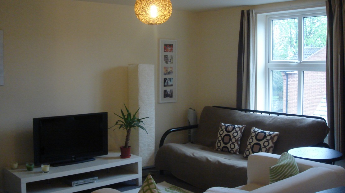 video image
