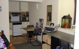 LIVING SPACE STUDIO FLAT