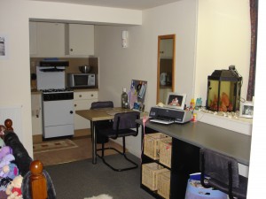 LIVING SPACE STUDIO FLAT